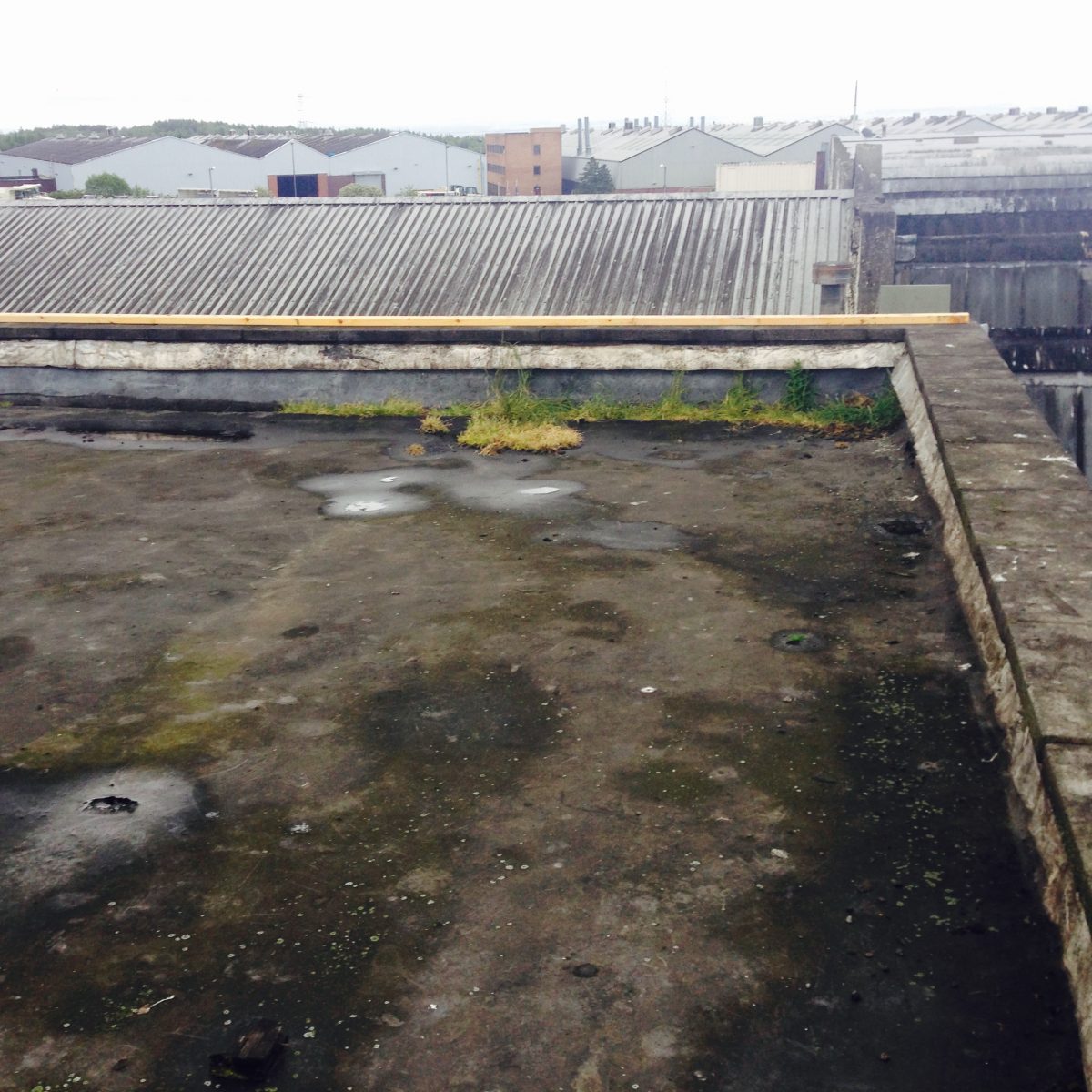 Antonine Printing Inks Ltd Taurus Roofing & Cladding Glasgow